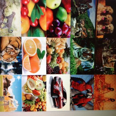 Automatyczna mała drukarka fleksograficzna Rolki papieru z powłoką PE Rolki folii # 4 Kolorowa drukarka etykiet fleksograficznych o maks. Sieć