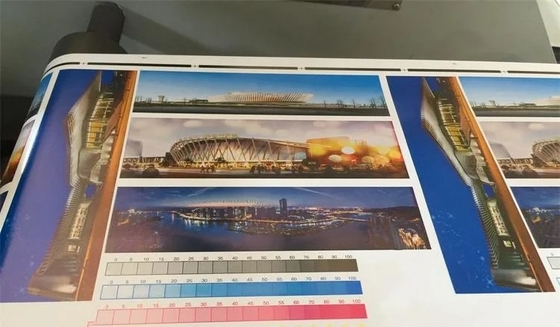Plastikowa maszyna do drukowania fleksograficznego PP PE High Speed ​​POF Torba papierowa z włókniny z włókniny PVC