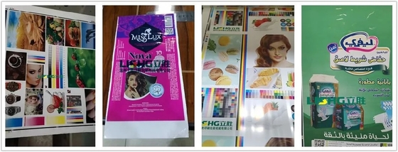 Maszyna do druku fleksograficznego o wysokiej prędkości w sześciu kolorach