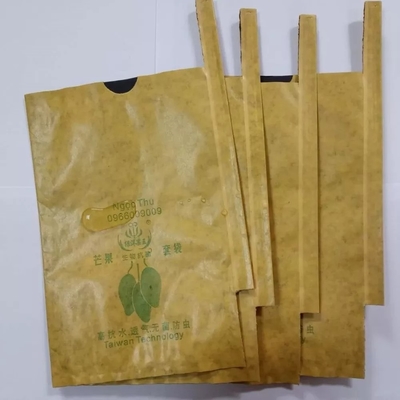 Maszyna do produkcji torebek papierowych Mango Fruit Kraft 3KW Automatic